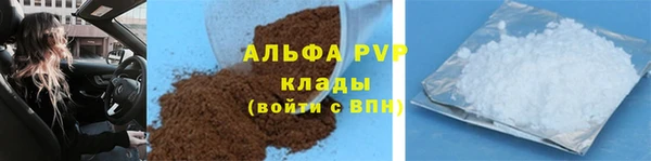 трава Осинники