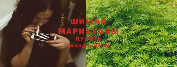 трава Осинники